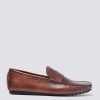 El Patron</br></br><i>Cinnamon Brown</i> - Image 4